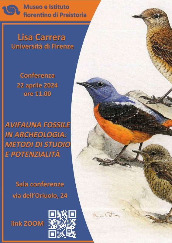 AVIFAUNA FOSSILE IN ARCHEOLOGIA: metodi e potenzialità