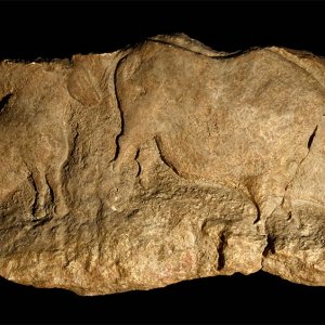 Riparo del Roc (Francia): bassorilievo con figure zoomorfe paleolitiche (calco)