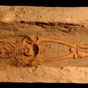 Grotta del Romito (Calabria): sepoltura paleolitica Romito 8 (calco)